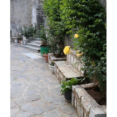 Maleatis Apollo Guesthouse Kosmás المظهر الخارجي الصورة